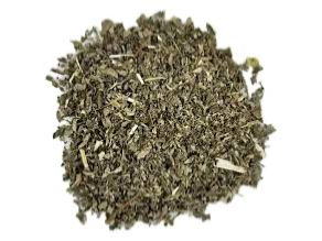 Menta Spicata (Hierbabuena)