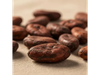 Granos de cacao nativo x250 gr