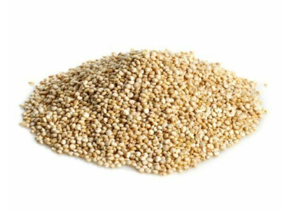 Semillas de Quinoa