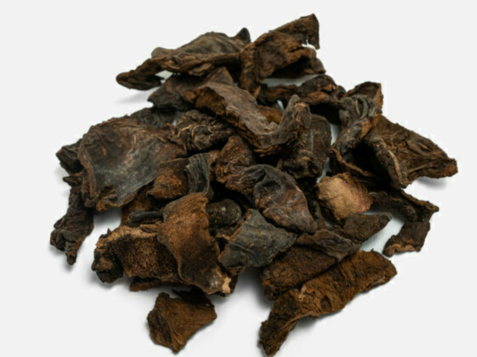 Hongos de pino