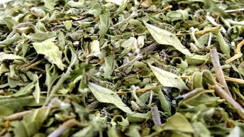 Hierbas - Yerbas