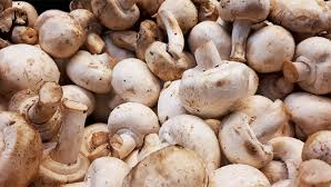 Hongos
