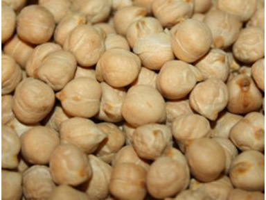 Garbanzo