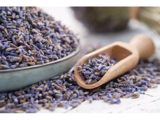 Lavanda