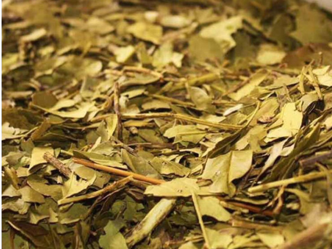 Yerba antiácida premium