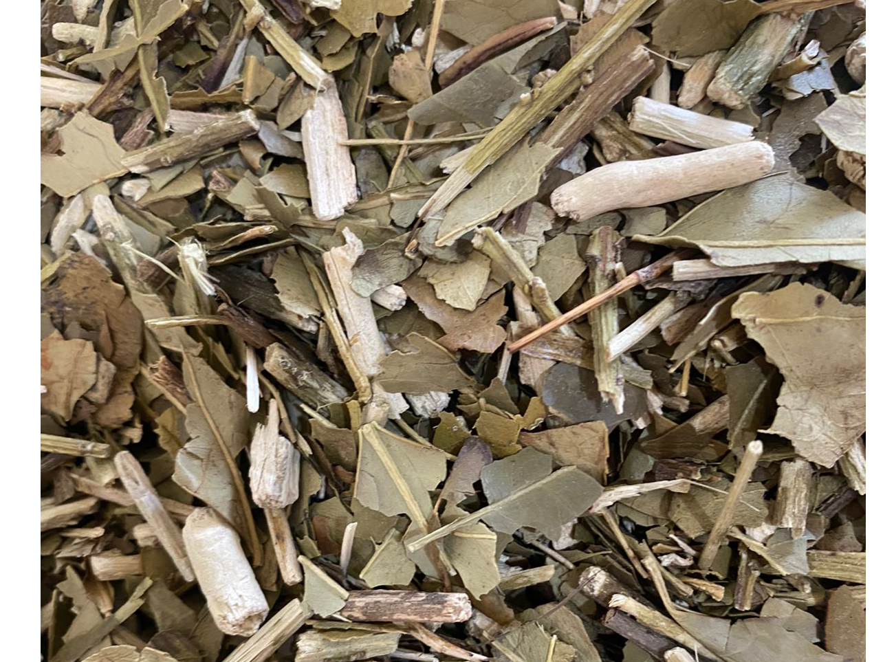 Yerba antiácida hoja y palo