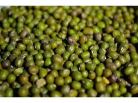 Poroto mung 500g