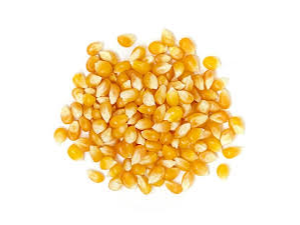 Maiz Pisingallo 500g