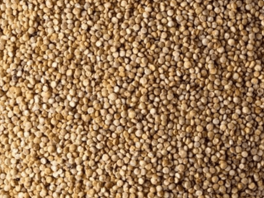 Semillas de quinoa nacional
