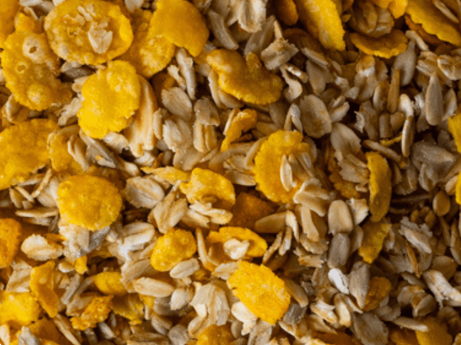 Granola tradicional cítrica