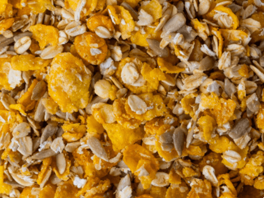 Granola tradicional sin pasas