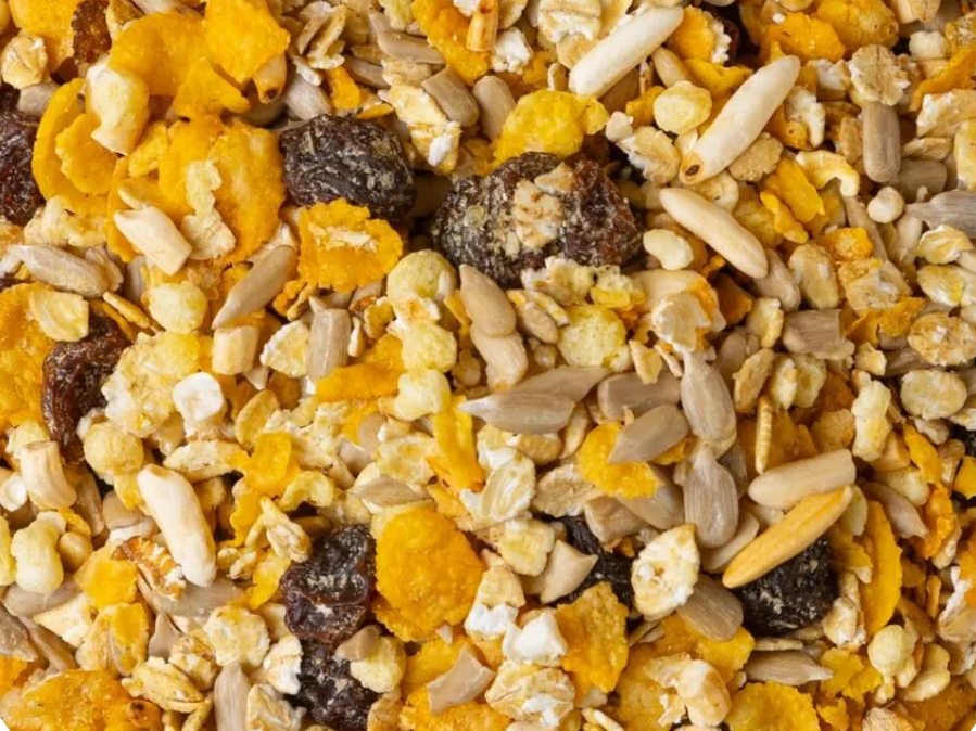 Granola original