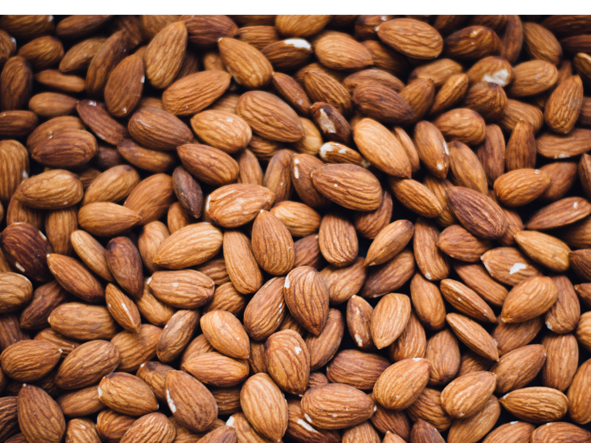 Almendra Guara