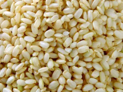 Arroz yamani común