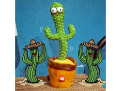 CACTUS BAILARIN ( CANTA BAILA REPITE )