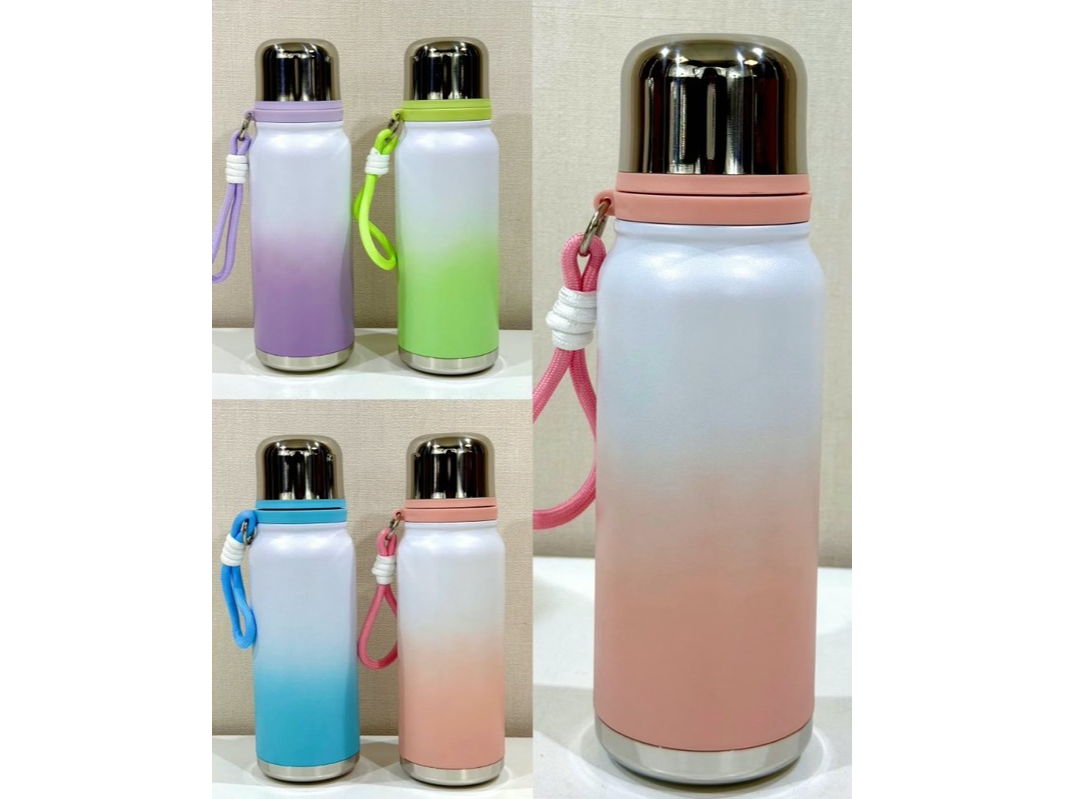 BOTELLA TERMICA DEGRADE 650ml / CB263+032