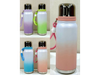 BOTELLA TERMICA DEGRADE 650ml / CB263+032