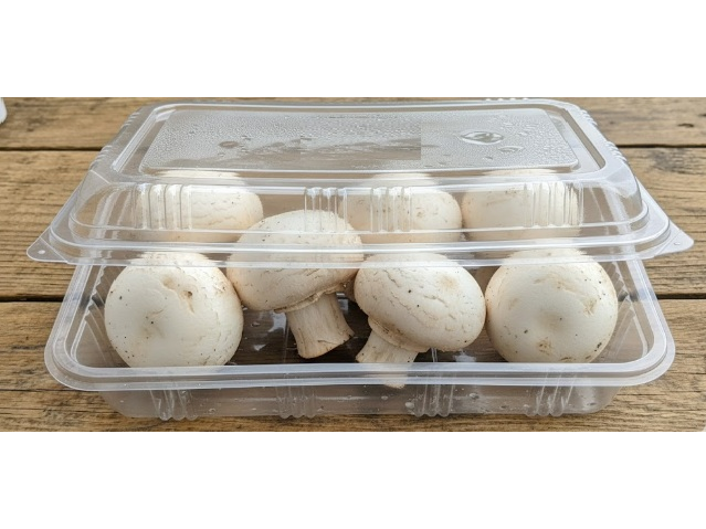 CHAMPIGNOS 200 gr RETIRAR