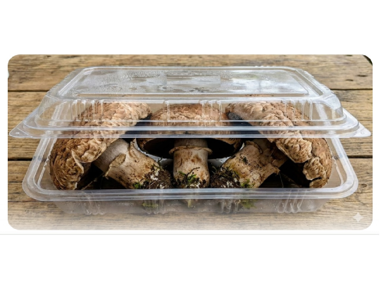 PARRILLEROS Chicos 3 RETIRAR