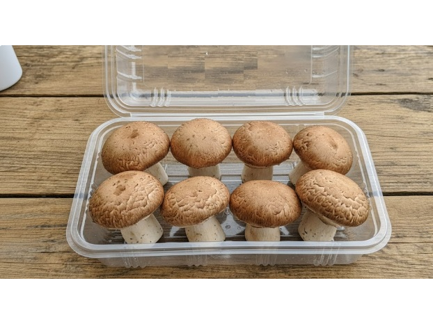 PORTOBELLOS 200 gr RETIRAR