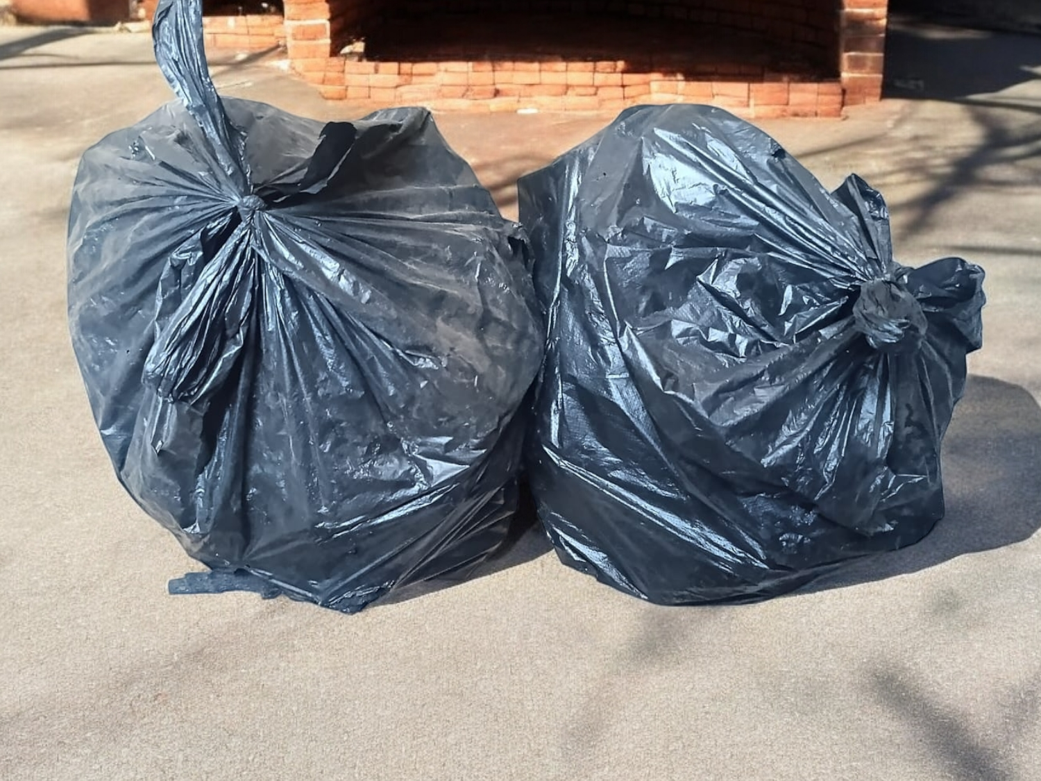 CARBON VEGETAL DE PINO