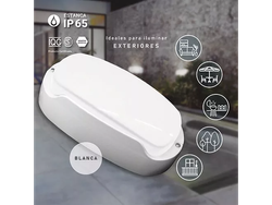 Tortuga Trefi Rectangular Policarbonato