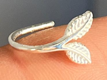 CUFF17 (T1)