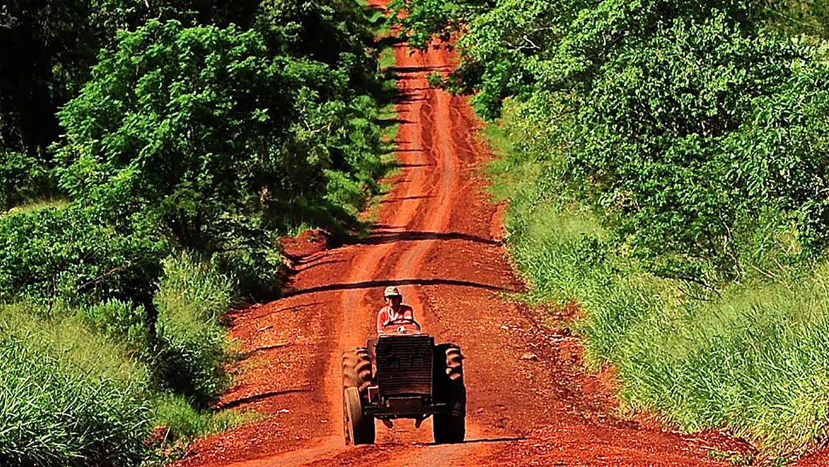 PRODUCTOS DE MISIONES