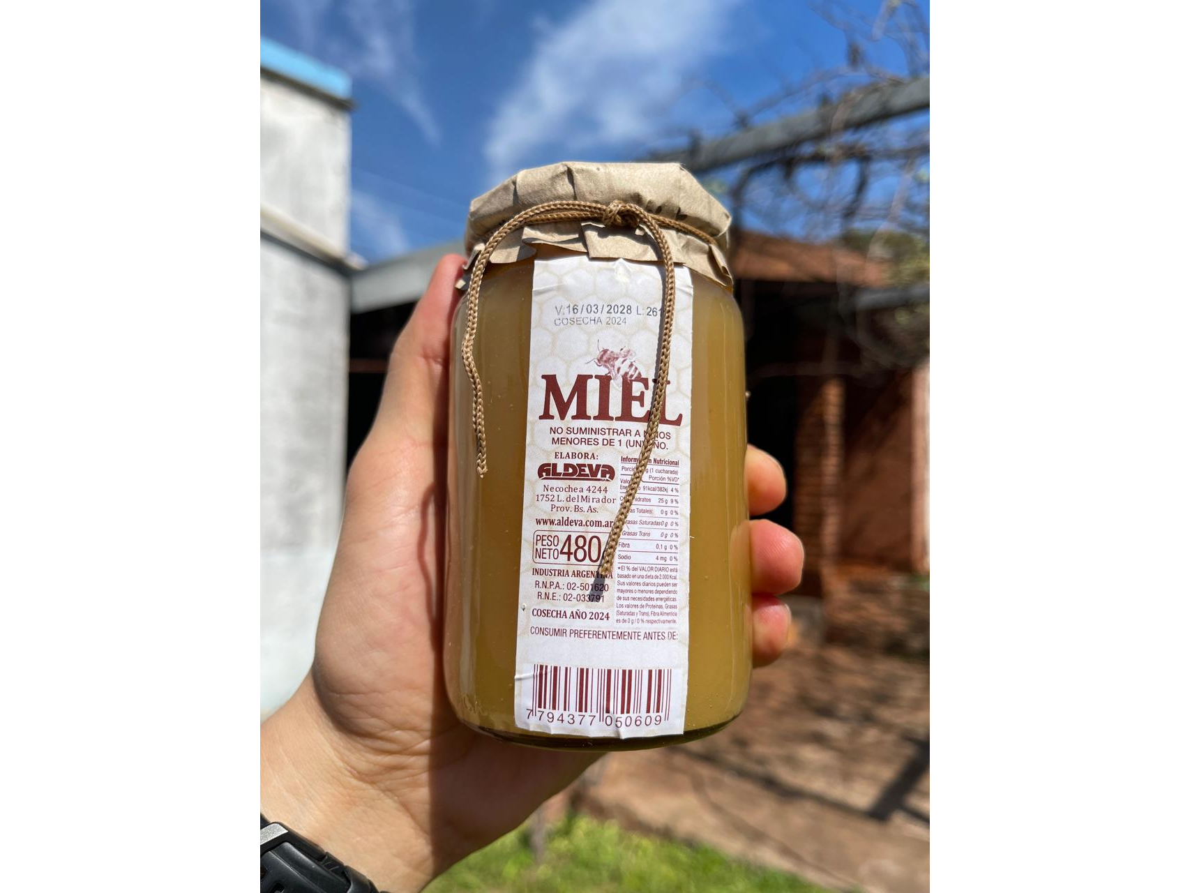 Miel artesanal Pura 480g (Vidrio)