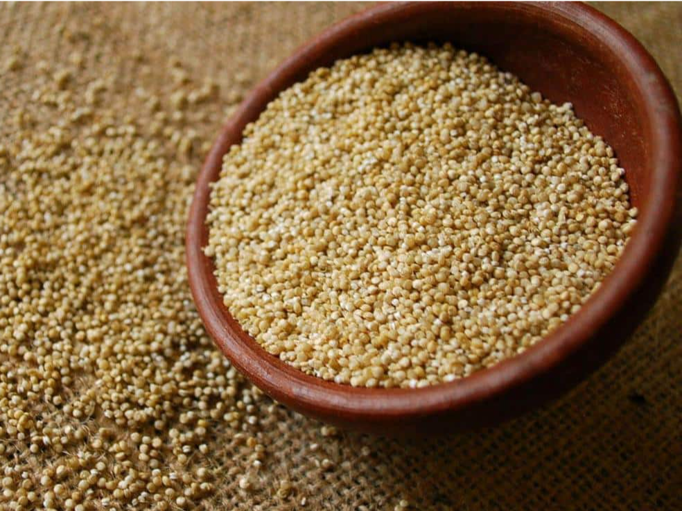 Semilla de Quinoa