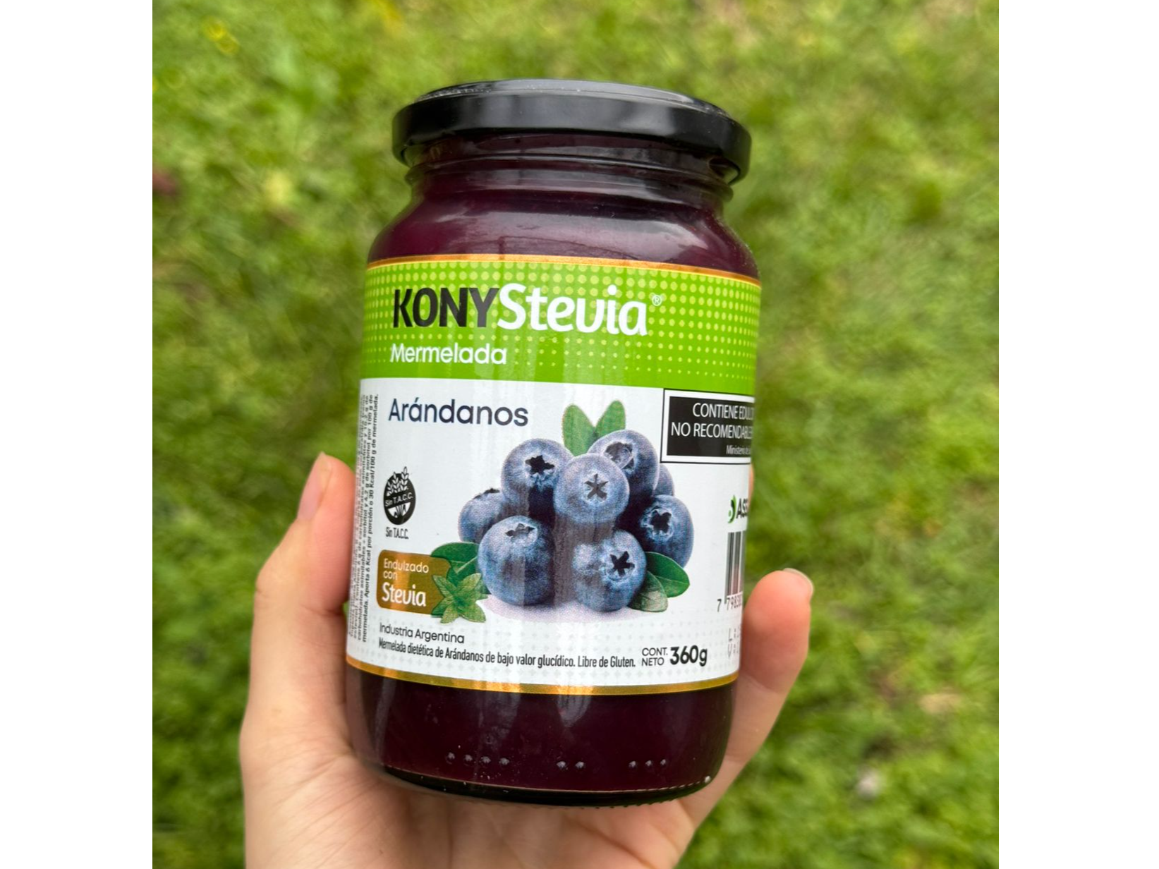 Mermelada de Arandanos sin azucar Kony