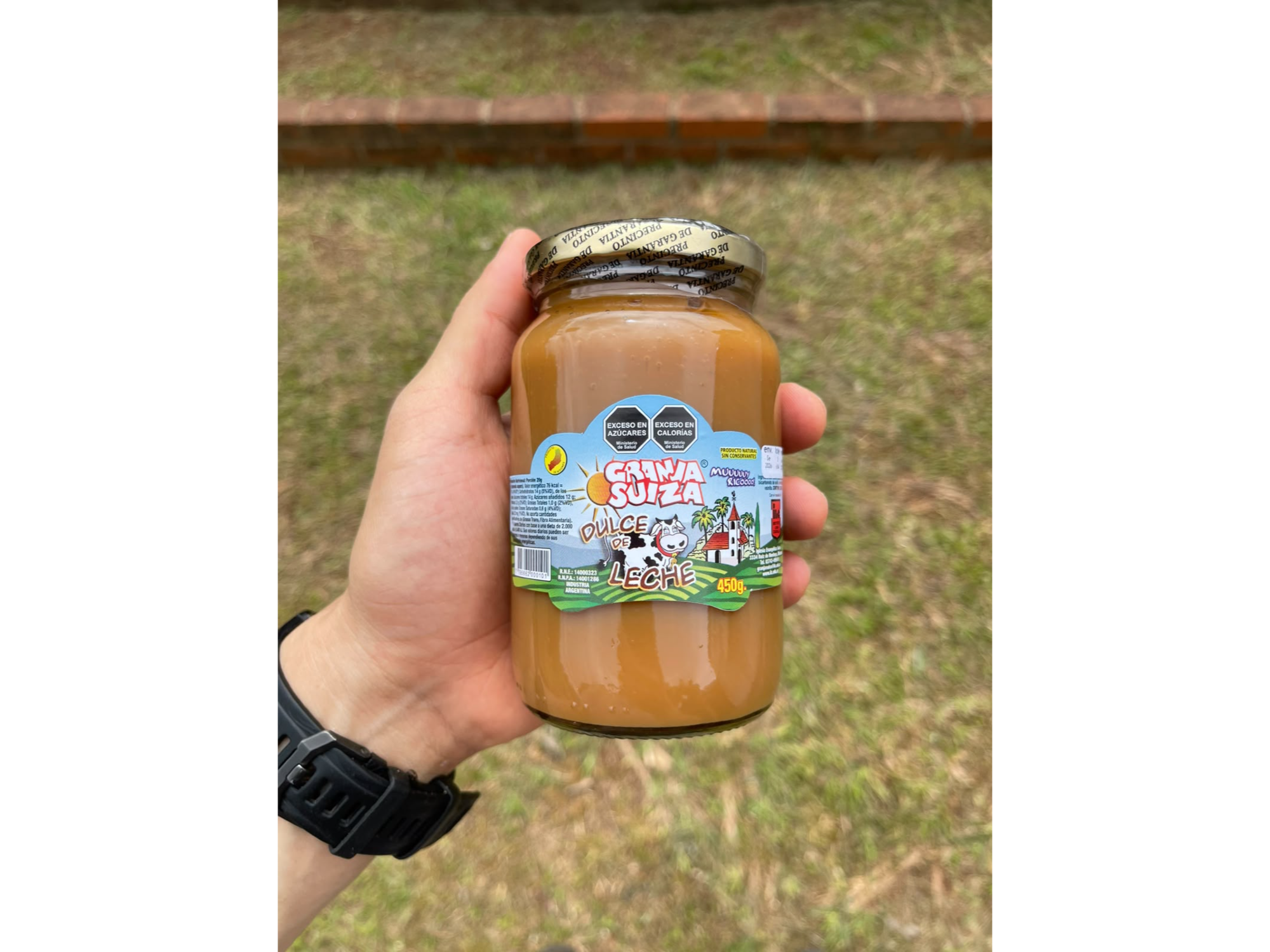Dulce de leche casero 450g