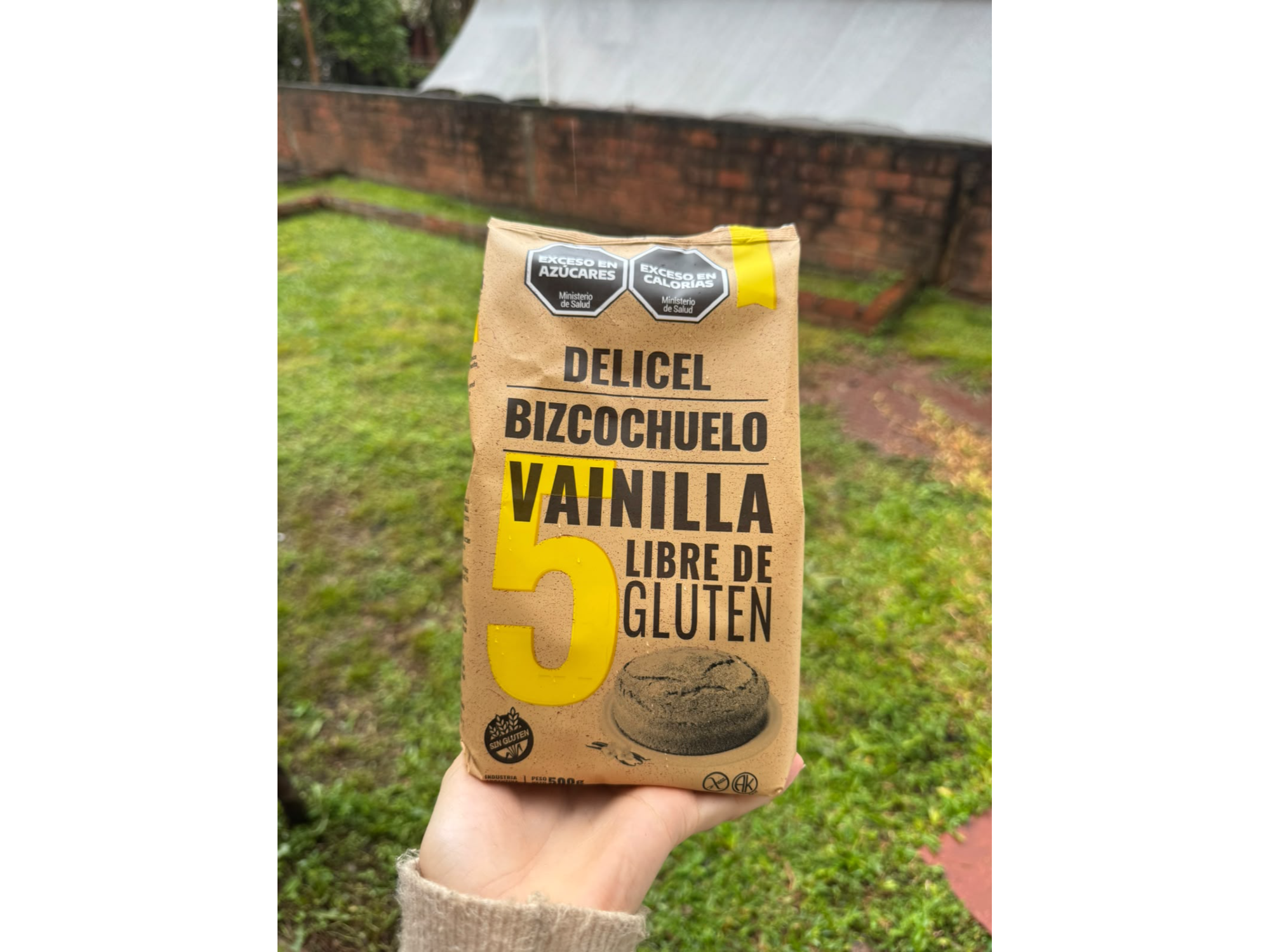 Premezcla de Bizcochuelo de Vainilla 500g