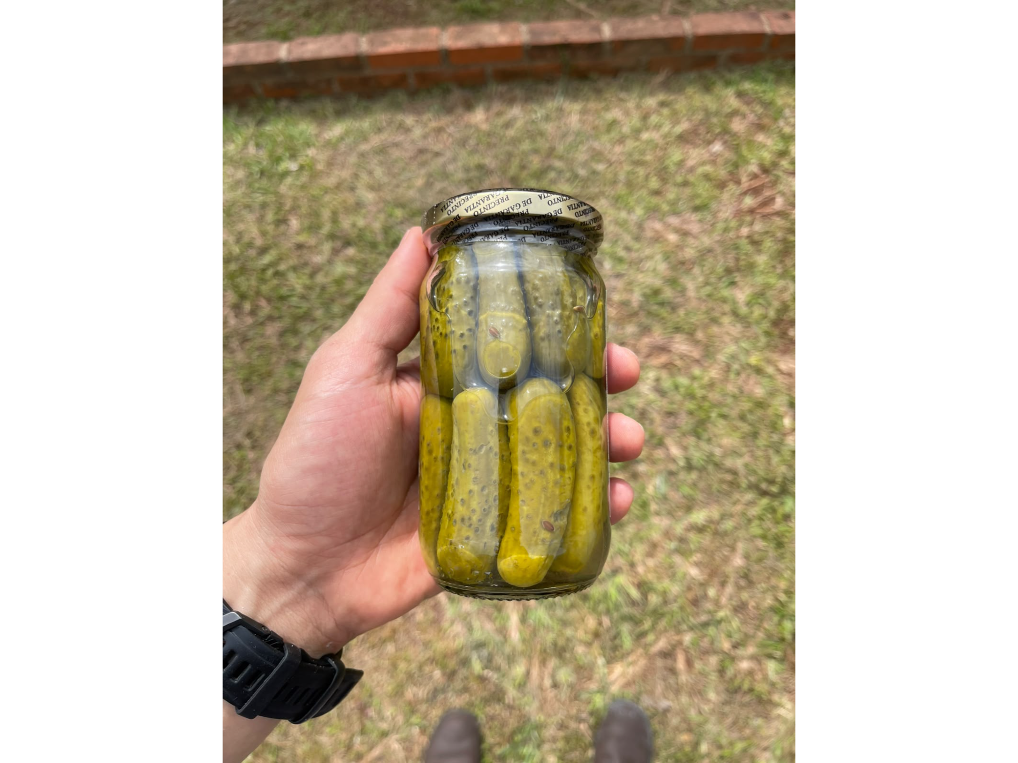 Pepinos en conserva 330g