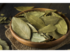 Laurel