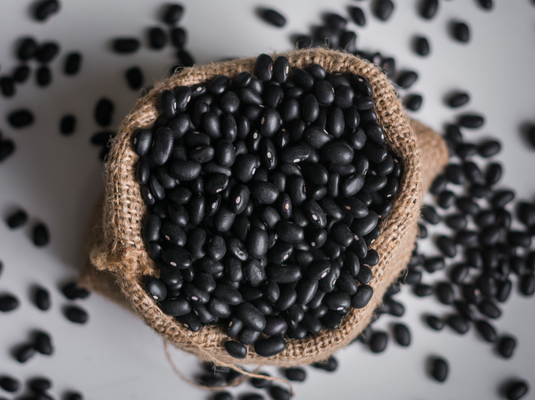Poroto Negro