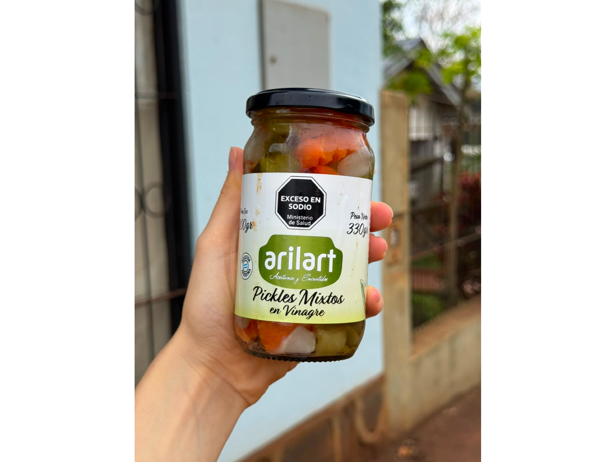 Pickles en Vinagre de Alcohol 200gr