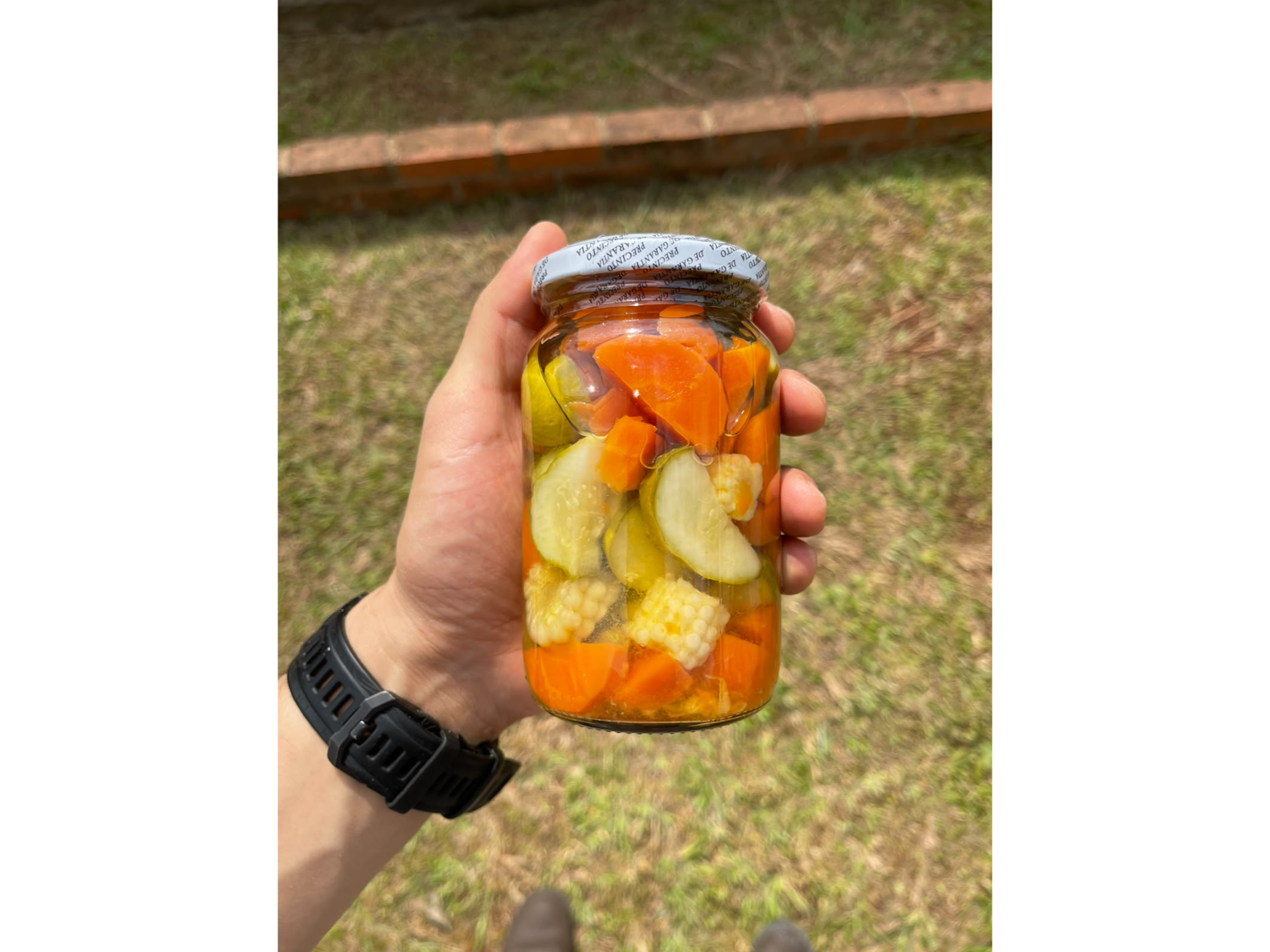 Pickles 360g