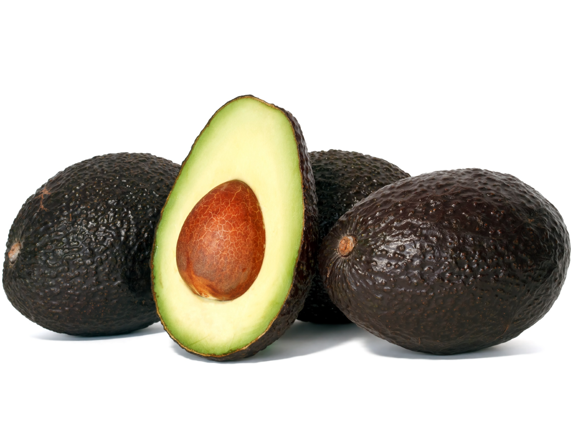 Palta
