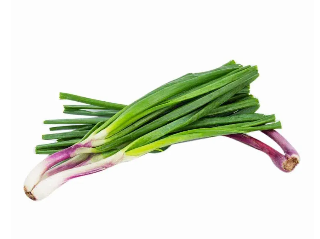 Cebolla de verdeo