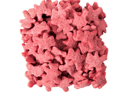 OSITOS DE FRUTILLAS