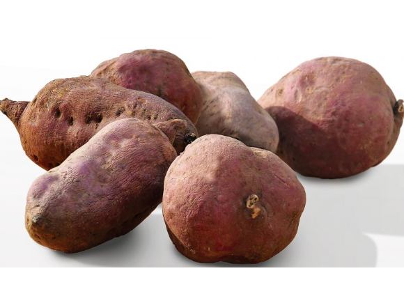 Batata