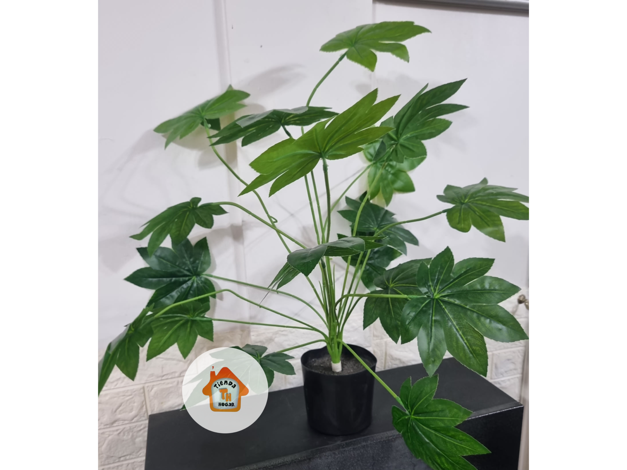 Esta es una planta artificial del tipo Aralia japónica