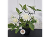 Dalia Articial