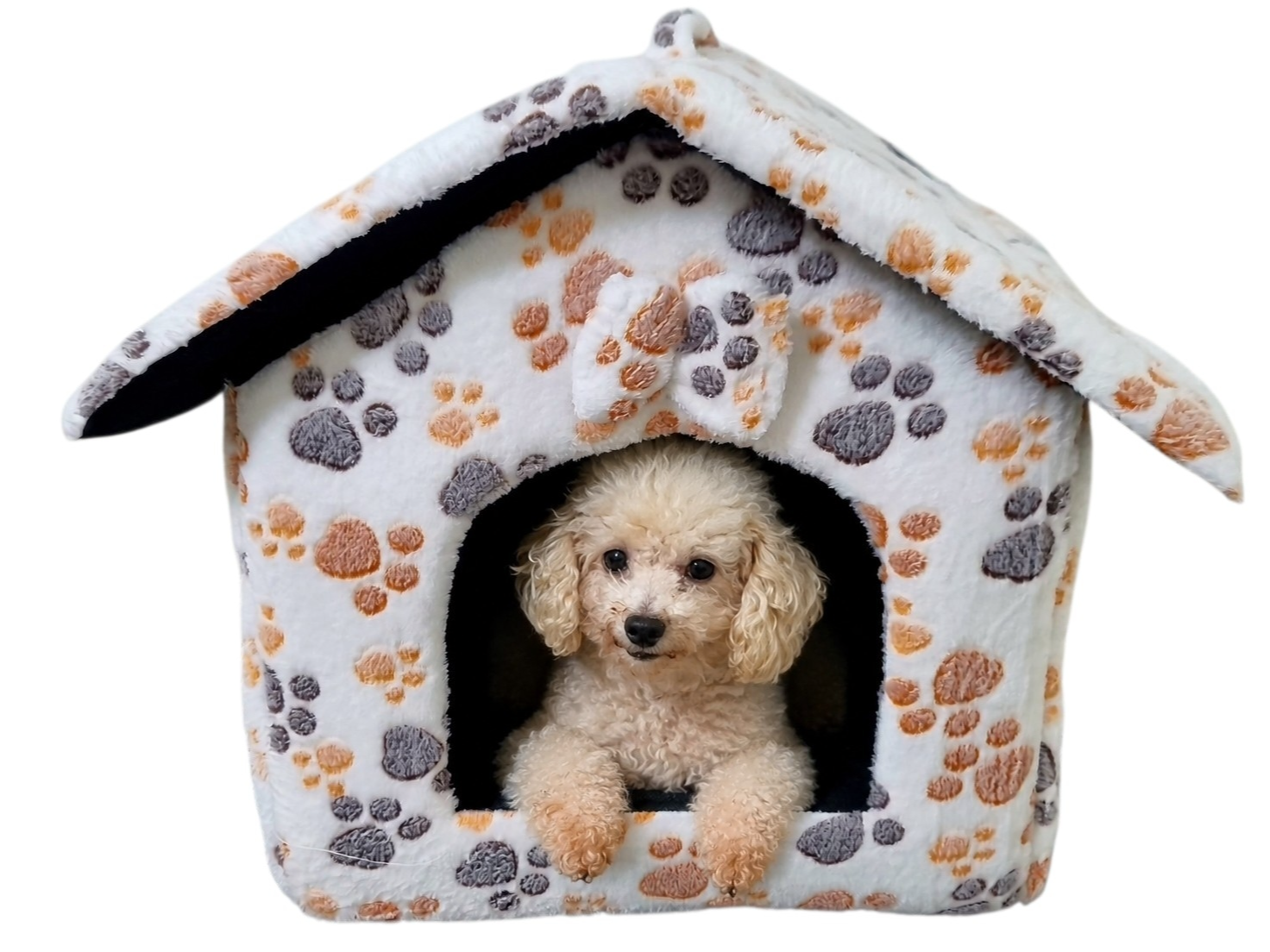 Casa plegable  perro