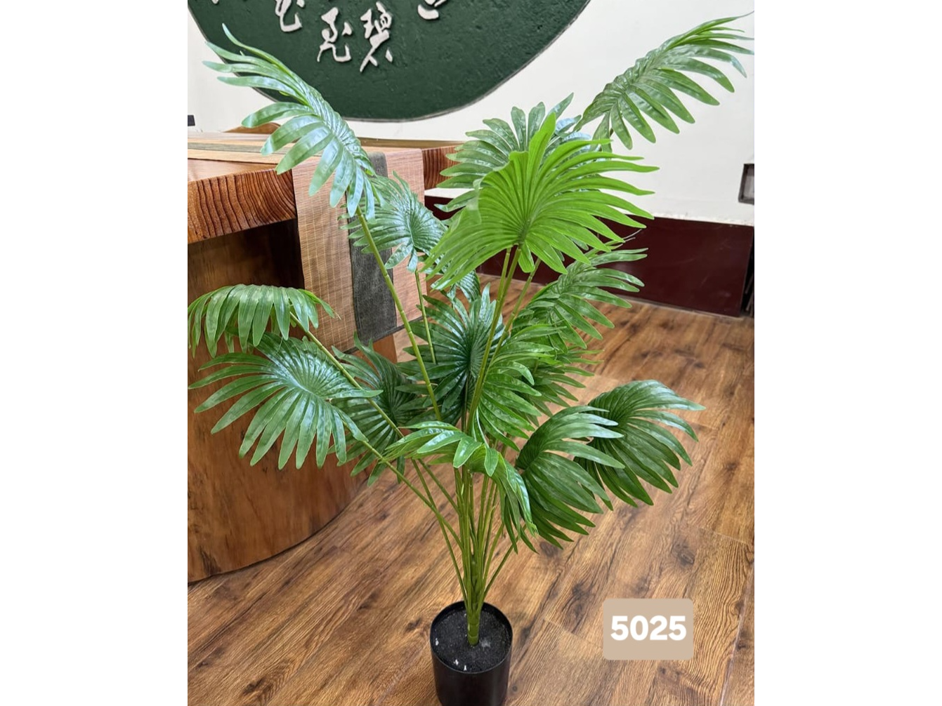 Palmera tipo abanico con diseño tropical