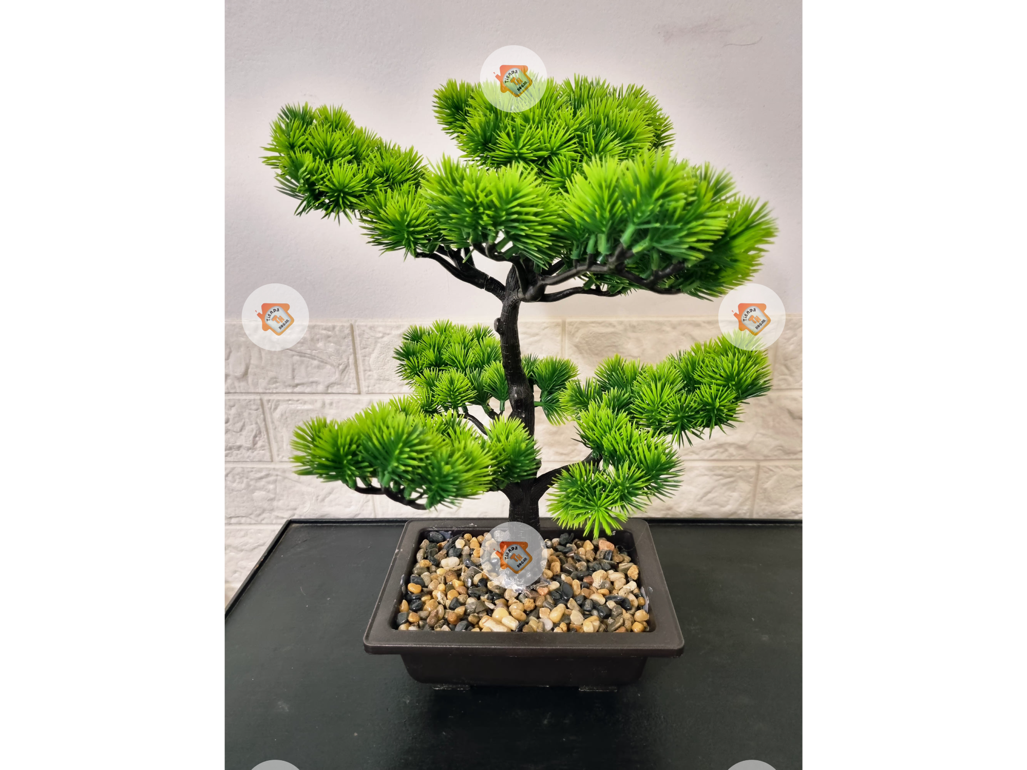 Bonsai 40cm
