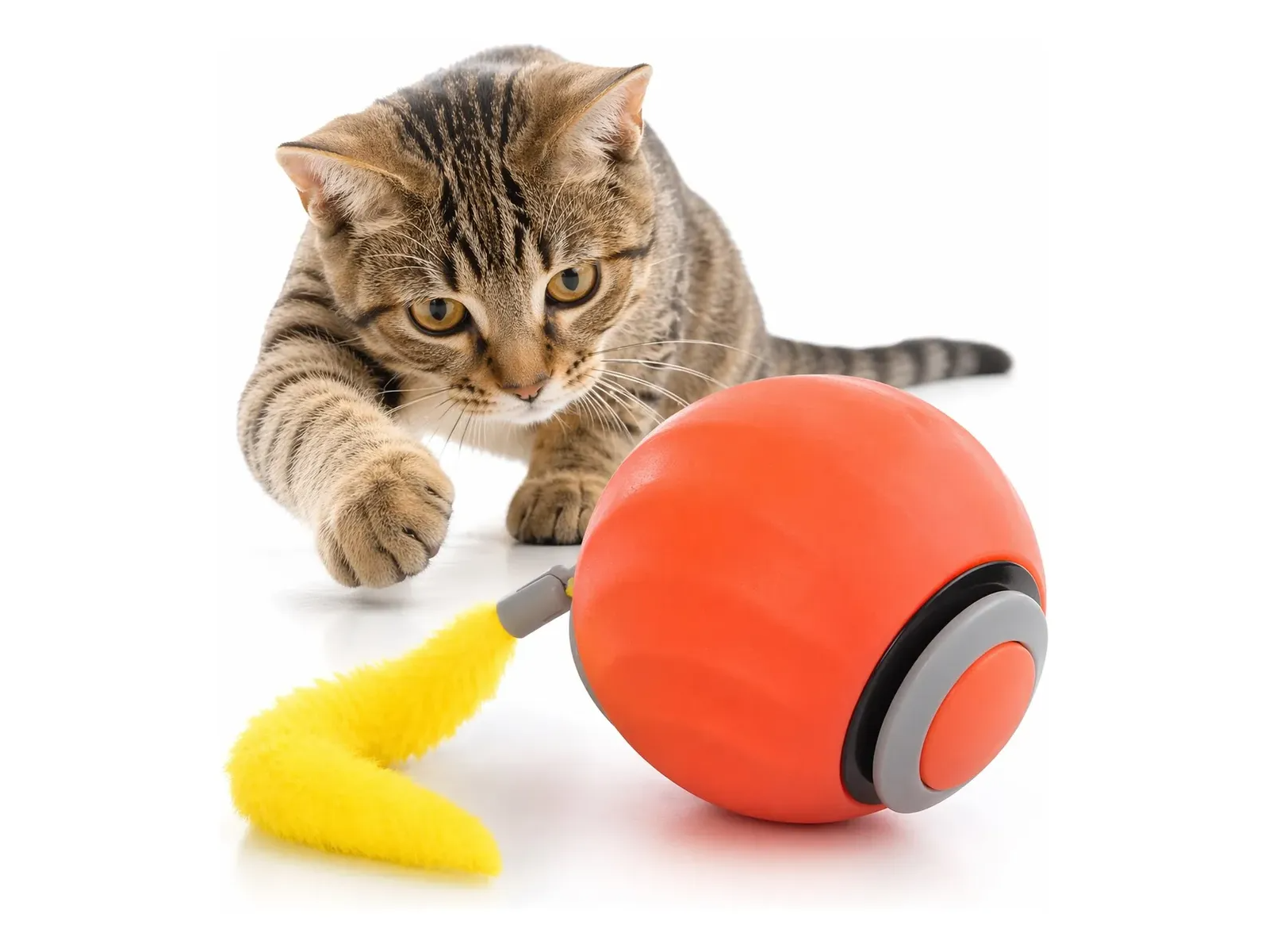 Juguete Interactivo Gatos Y Perros  Bola Automática Recargable Usb