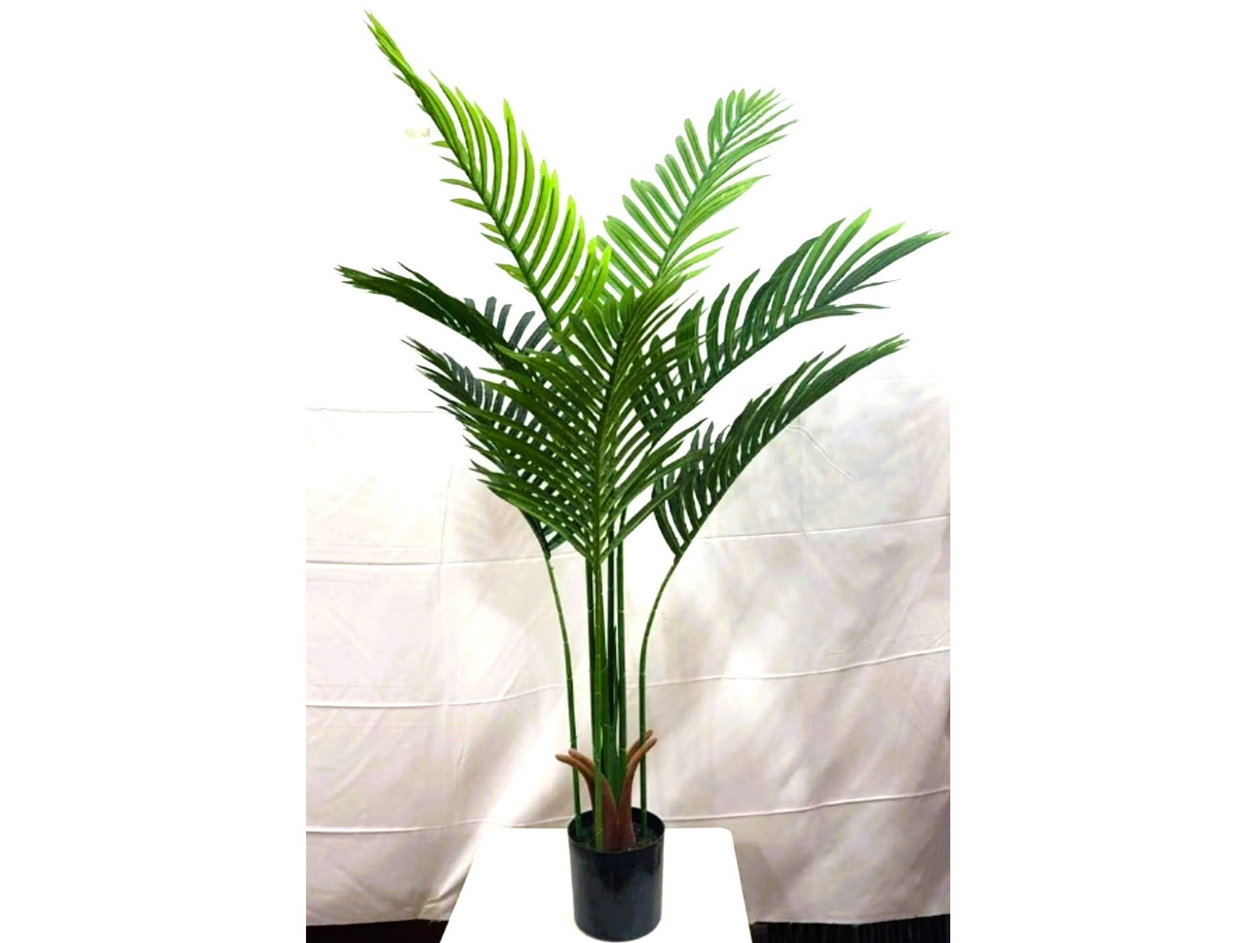 Palma Areca de 120 cm
