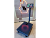 Báscula industrial digital con plataforma y brazo 600 KG